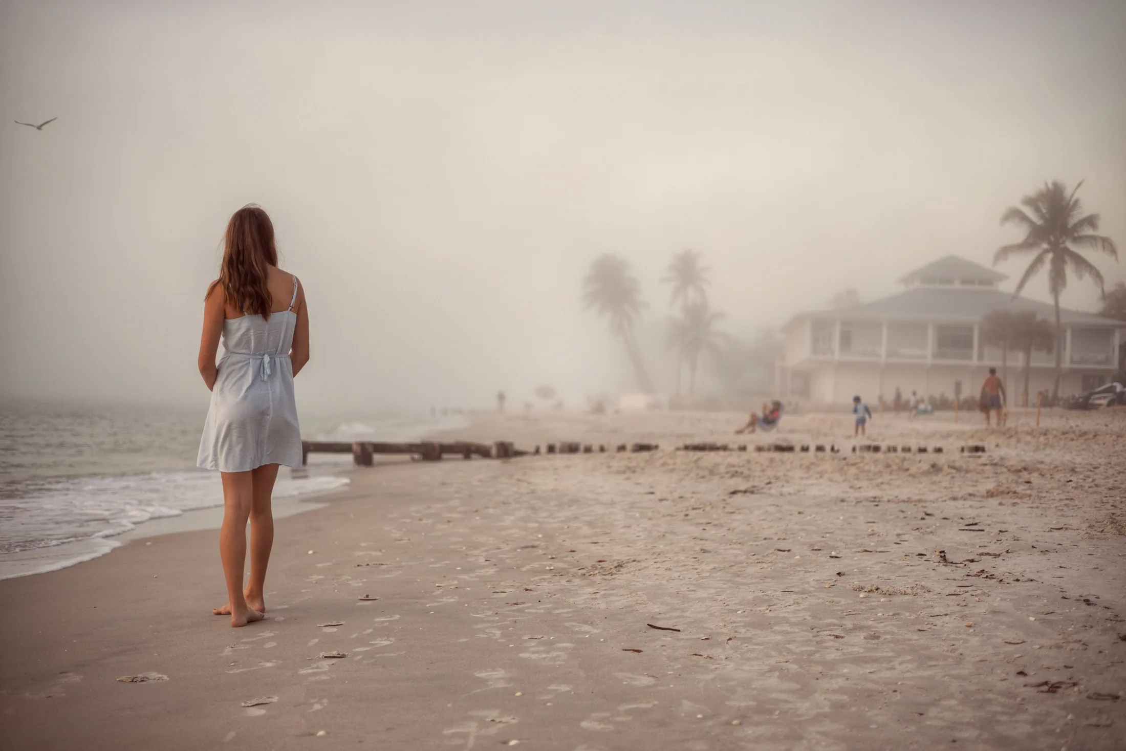3C1A6315 photograph