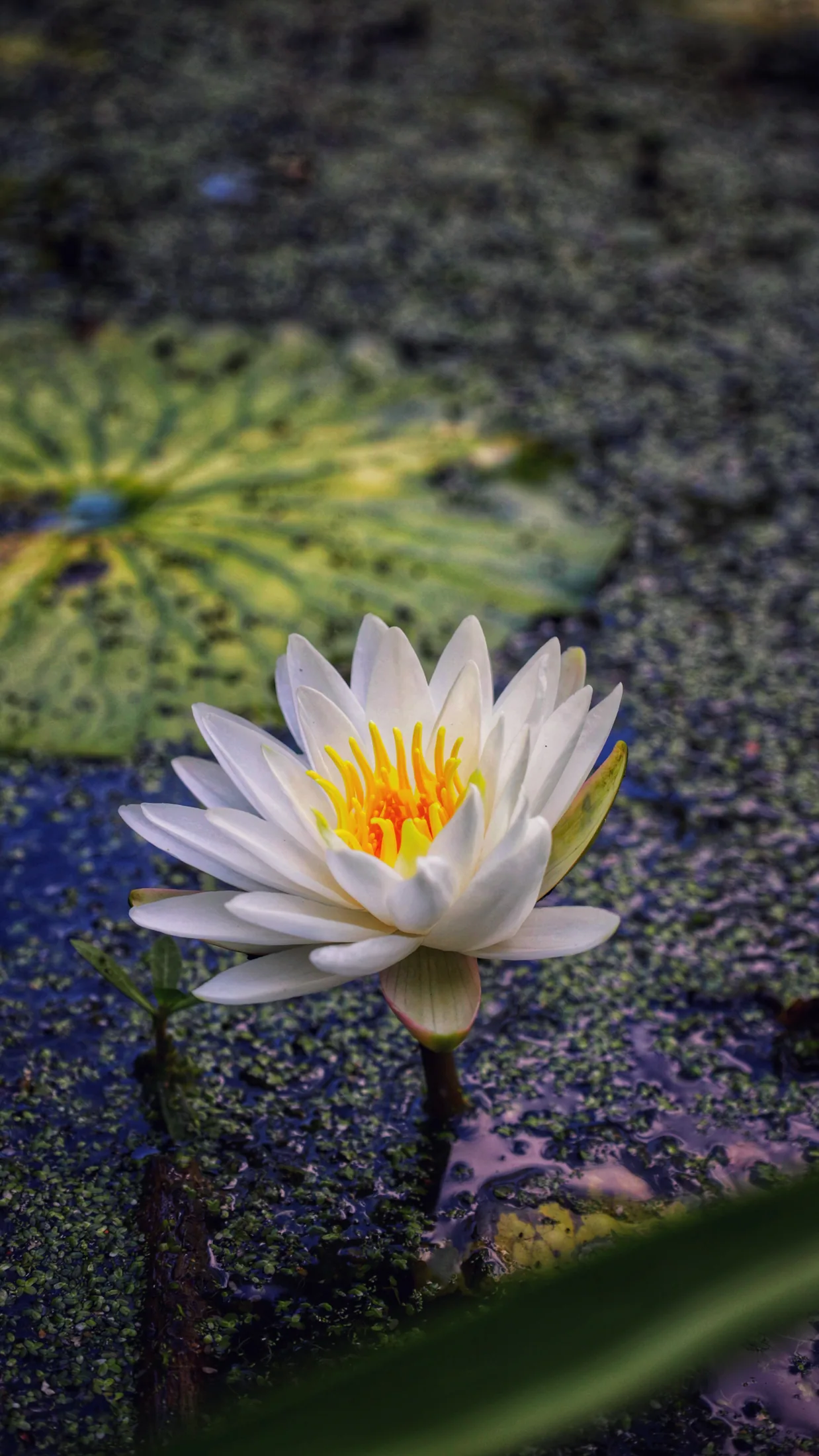 3C1A6955 photograph